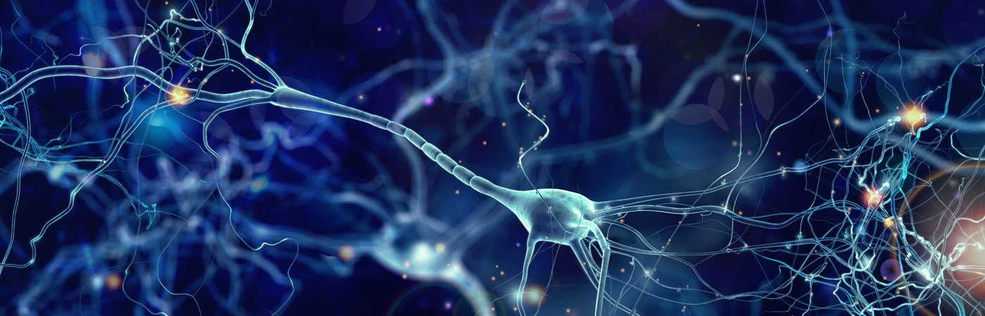 Microscopic view of DNA stands. 