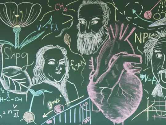 A chalkboard covered in different scientific illustrations.