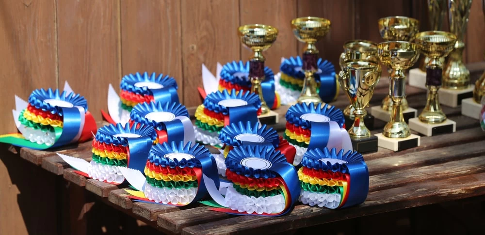 Equestrian rosettes.
