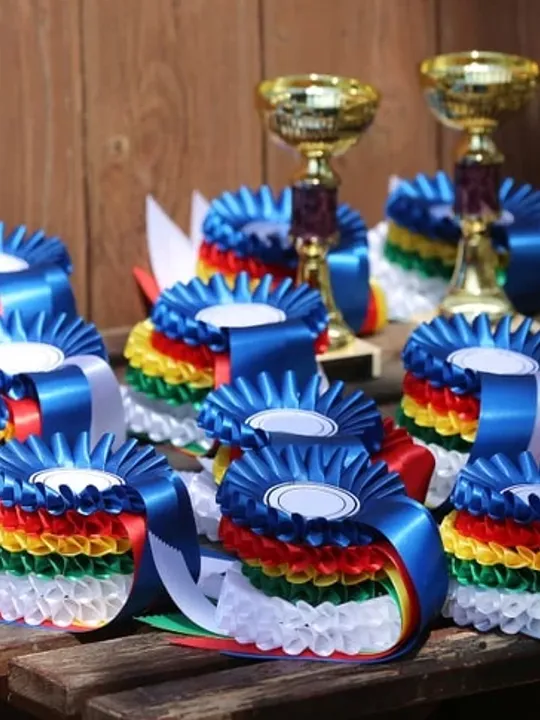 Equestrian rosettes.