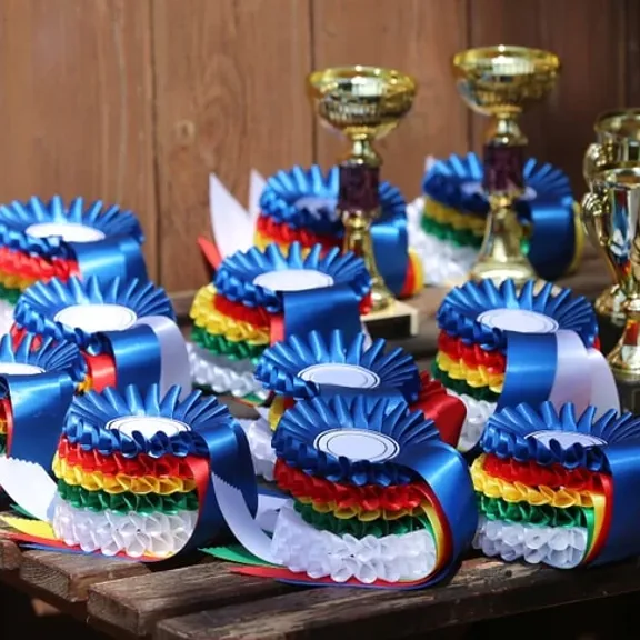 Equestrian rosettes.