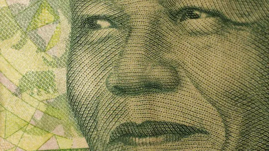 A stylised close-up photograph of Wolsey Hall Oxford alumnus Nelson Mandela, former President of South Africa.