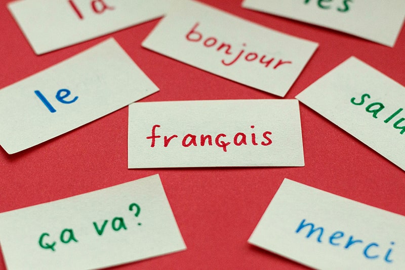 Scattered French vocabulary flashcards with handwritten words like ‘bonjour’, ‘français’ and ‘merci’.