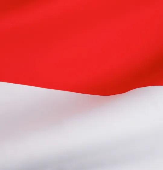 An image of the Indonesian flag.