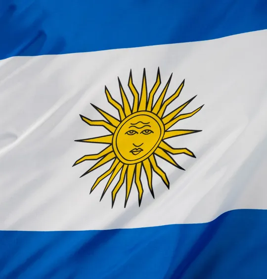 Argentina flag