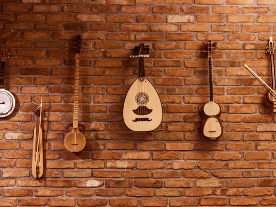 Row of traditional string instruments mounted on a rustic brick wall in a music room.