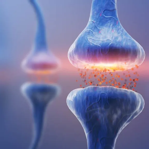A close-up, computer-generated image of a synapse. The image shows a synaptic cleft where neurotransmitters, depicted as small orange particles, are being released from one neuron terminal and are about to be received by another.