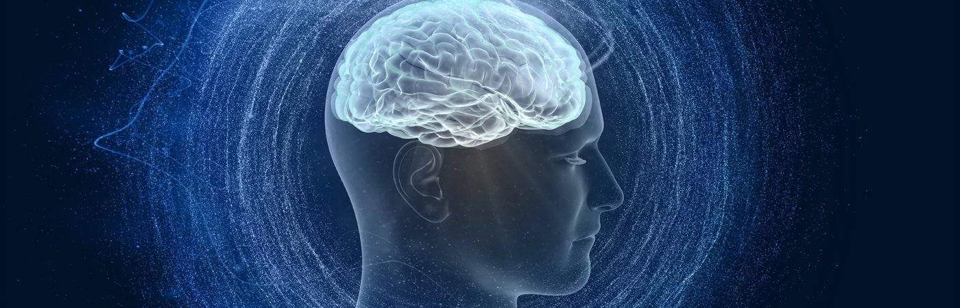 A digitally illustrated head with the brain in a lighter blue hue so it is the focus of the image. 