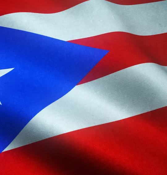 An image of the flag of Puerto Rico.
