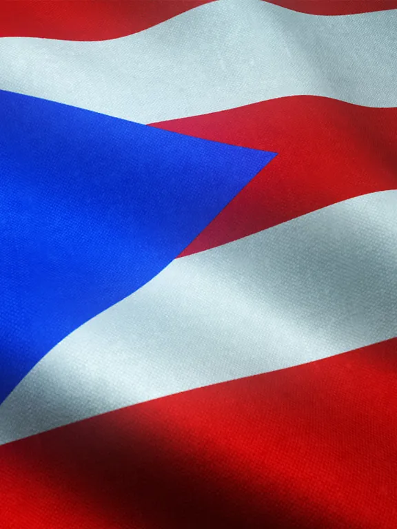 An image of the flag of Puerto Rico.