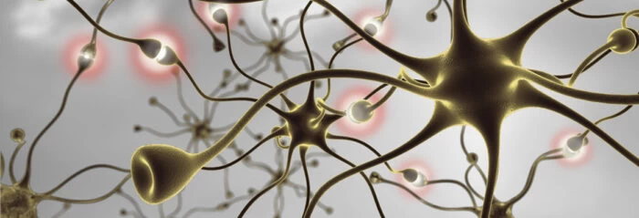 Microscopic view of a cell created through digital illustration. 