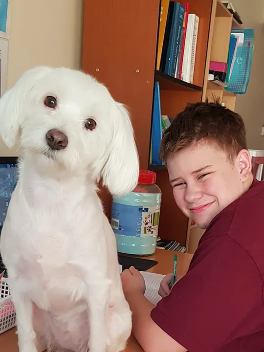 Wolsey Hall Oxford student, Kaelem, and his dog.