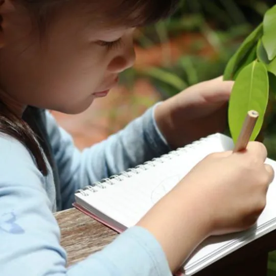 Child writing in a notebook while observing leaves outdoors, engaged in a nature-based learning activity