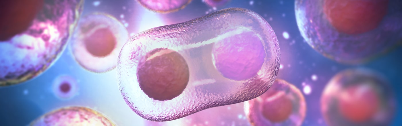 A digital illustration of a microscopic view of a cell. 