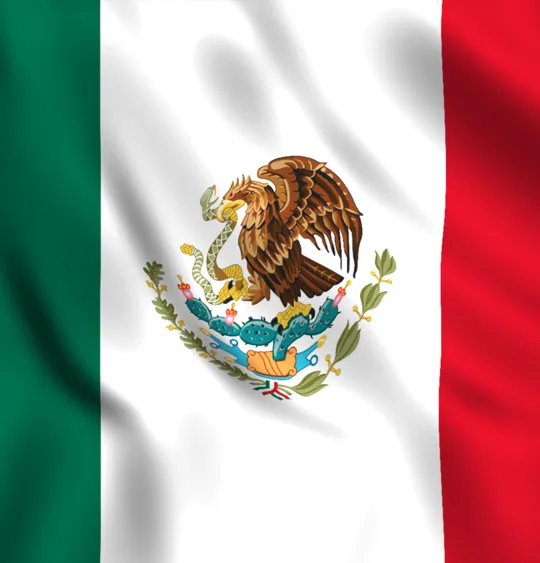 An image of the flag of Mexico