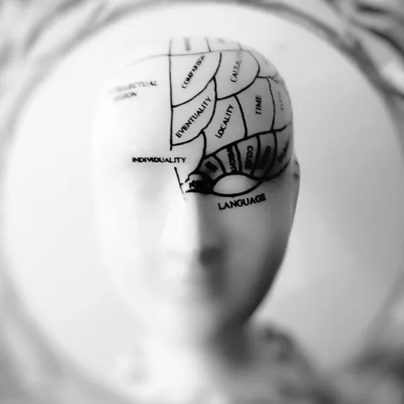 A black and white, close-up shot of a phrenology bust. The head is partially in focus, and markings and text such as