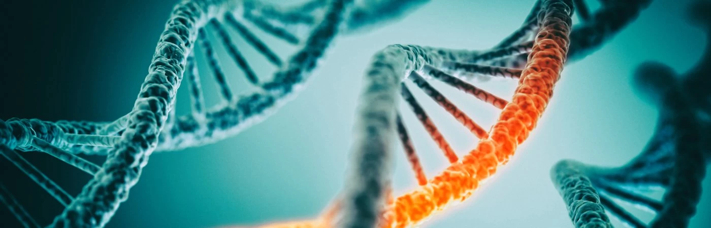 A microscopic view of a DNA helix. 