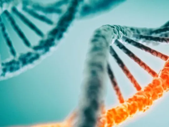 A microscopic view of a DNA helix.
