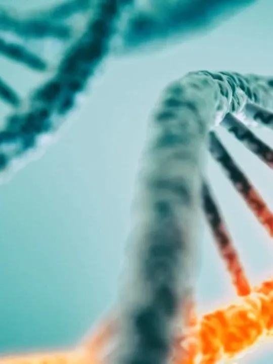 A microscopic view of a DNA helix.