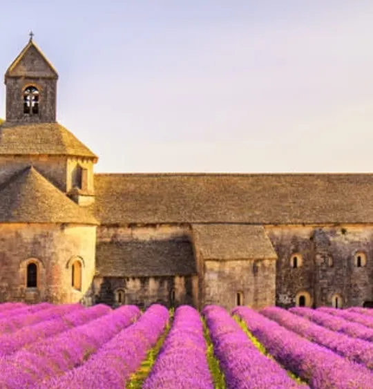 A landscape view of a church in the south of France, with a Lavender field in front of it.