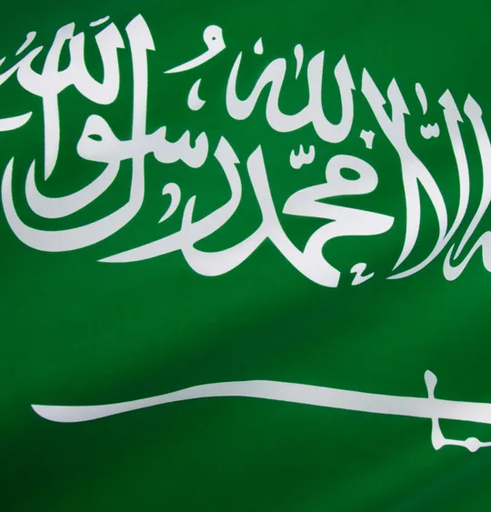 An image of the flag of Saudi Arabia.