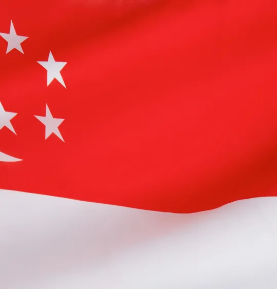 An image of the flag of Singapore.