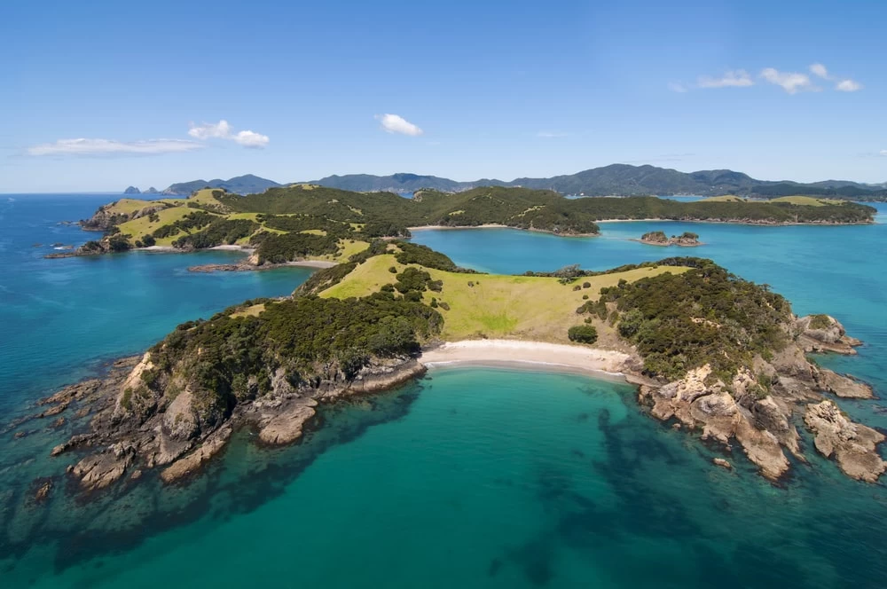 Landscape view of the New Zealand coastline, surrounded by clear blue water and a clear sky. 