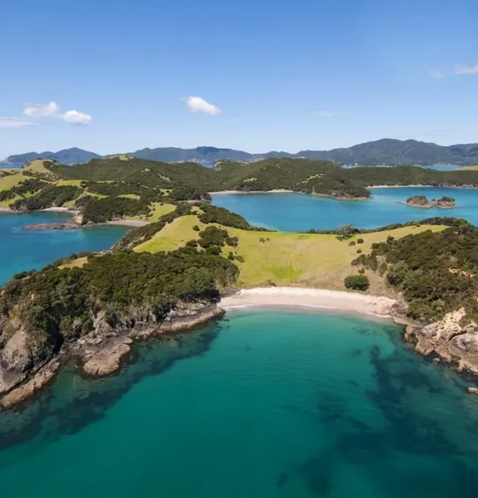 Landscape view of the New Zealand coastline, surrounded by clear blue water and a clear sky.