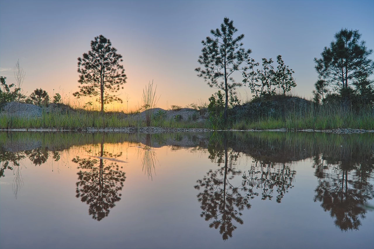 A tranquil scene at sunrise or sunset in Belize with silhouetted trees reflecting in still water.