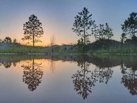 A tranquil scene at sunrise or sunset in Belize with silhouetted trees reflecting in still water.