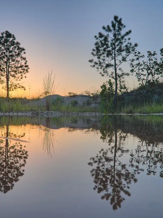A tranquil scene at sunrise or sunset in Belize with silhouetted trees reflecting in still water.