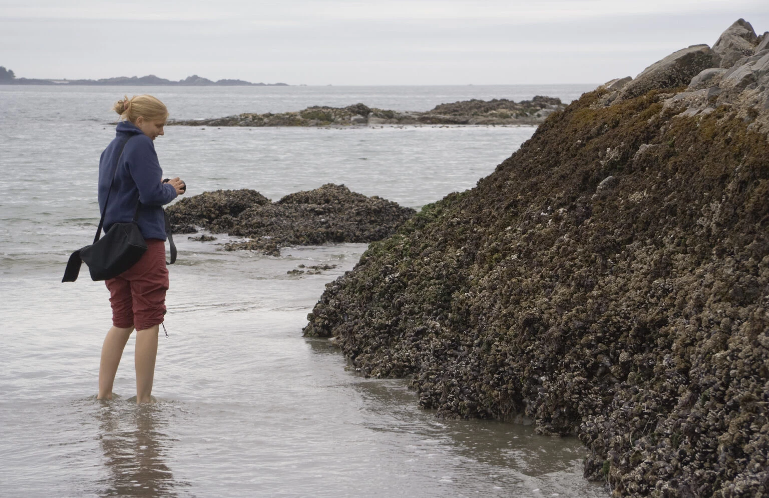 A marine scientist in the sea observing wildlife. 