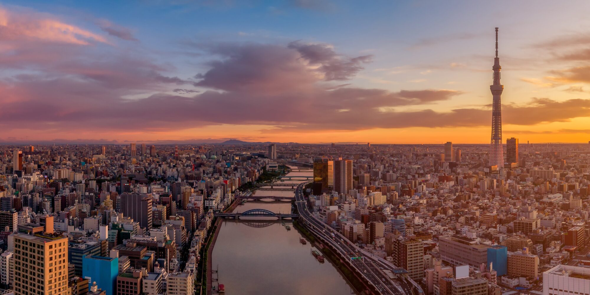 A landscape view of the Tokyo skyline. 