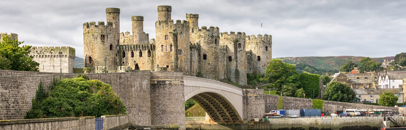 Stone bridge leading to a large medieval castle with towers, nestled in a green landscape under grey skies.