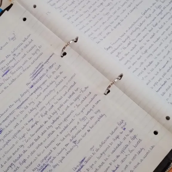 Study notes in a ring bound folder.