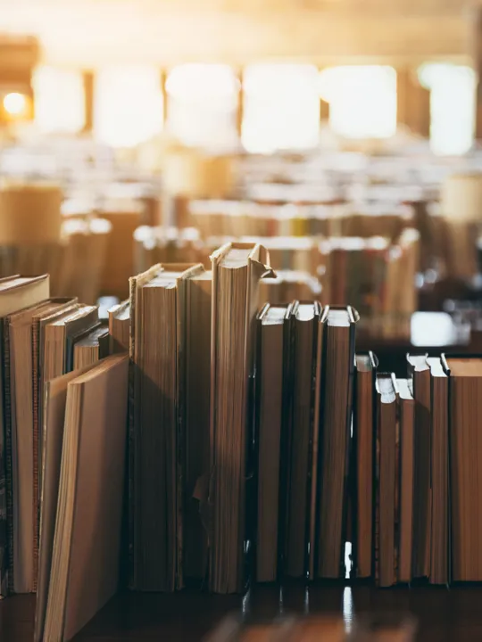 A warm, inviting photo inside a library, showing rows of old books standing upright on tables with sunlight streaming in the background.