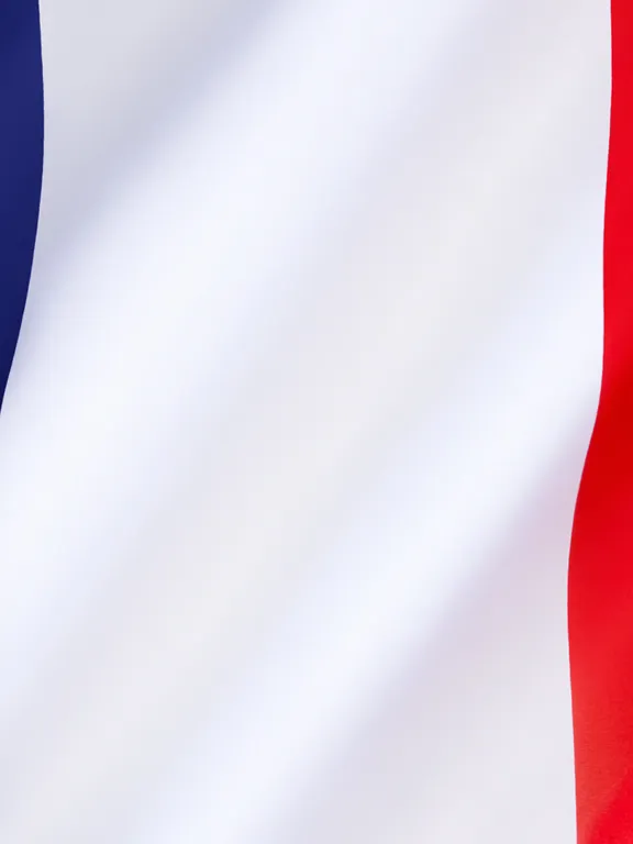 An image of the flag of France.