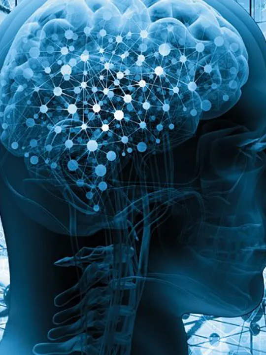 A blue background with a head in the foreground and an illustrated brain inside it.