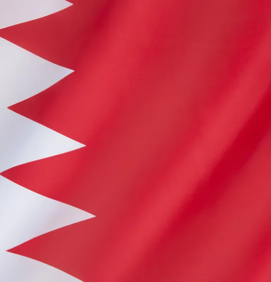 Bahrain flag
