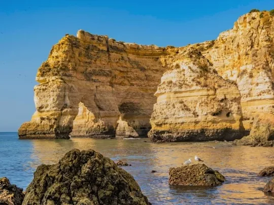 A landscape image of Portugal.