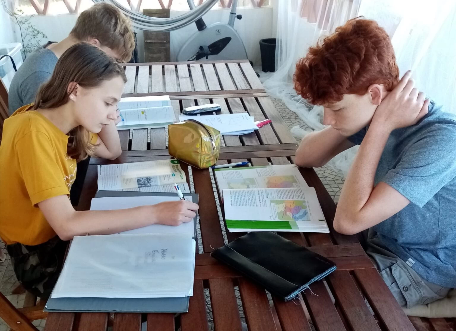 The Binedell children studying together. 