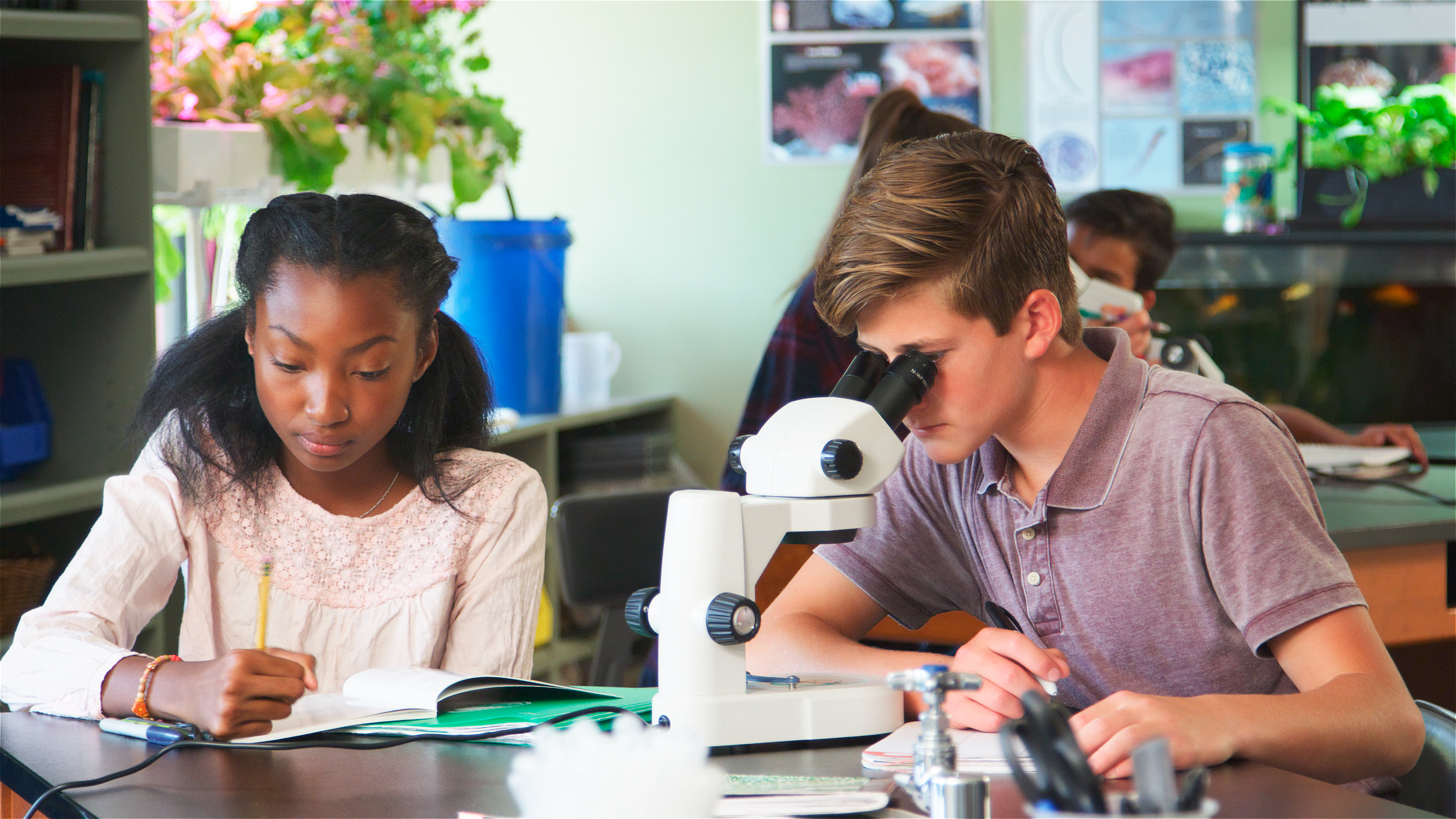 Students looking through a microscope. 