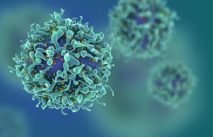 A microscopic view of a germ.